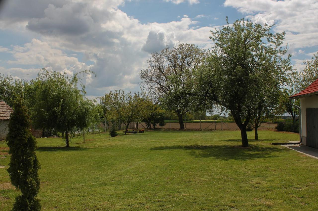 Appartamento Das Blaue Haus Vendégház - Kovácshida Esterno foto
